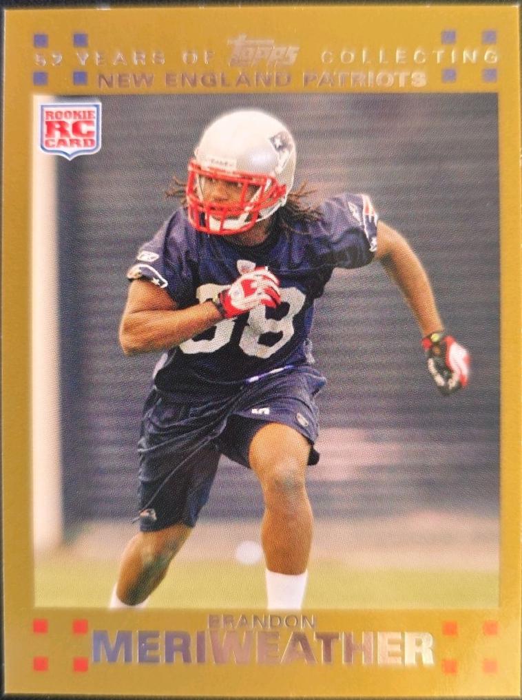 Brandon Meriweather [Gold] #388