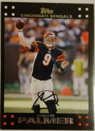 Carson Palmer #11