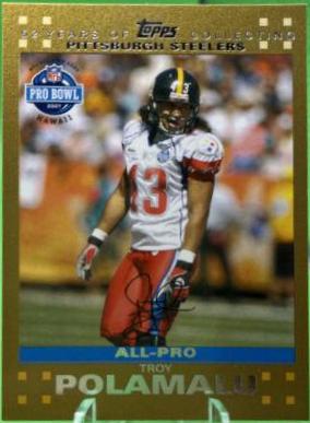 Troy Polamalu [Gold] #414