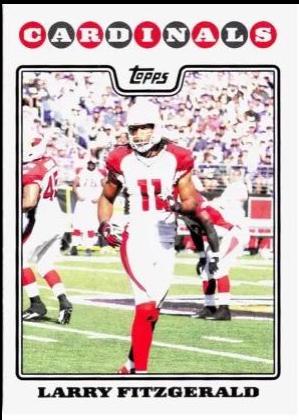 Larry Fitzgerald #143