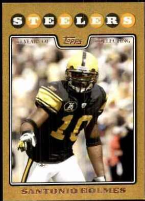 Santonio Holmes #120
