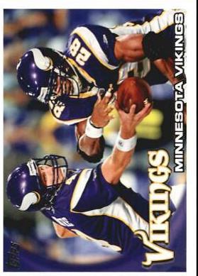 Minnesota Vikings #188