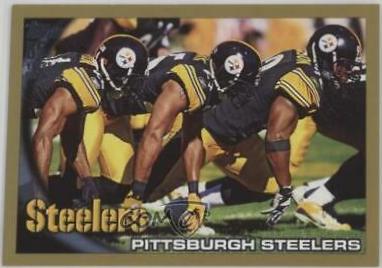 Pittsburgh Steelers #437