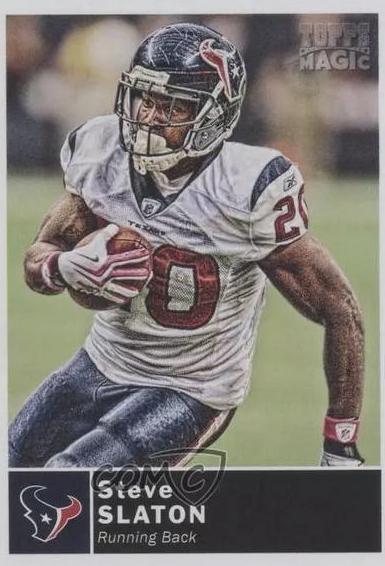 Steve Slaton #209