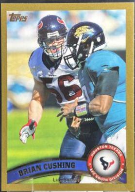 Brian Cushing [Gold] #13