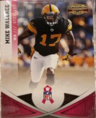 Troy Polamalu [Breast Cancer Awareness] #100