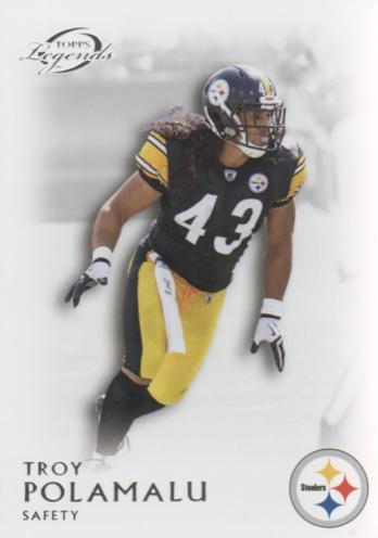 Troy Polamalu #65