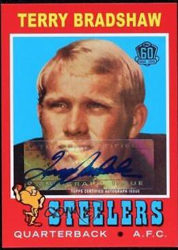 Terry Bradshaw [Silver] #TB