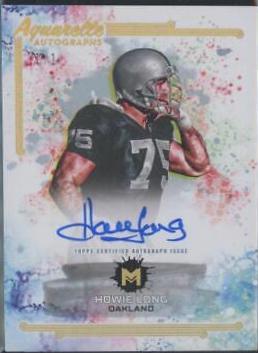 Howie Long [Quin Gold] #AA-HL