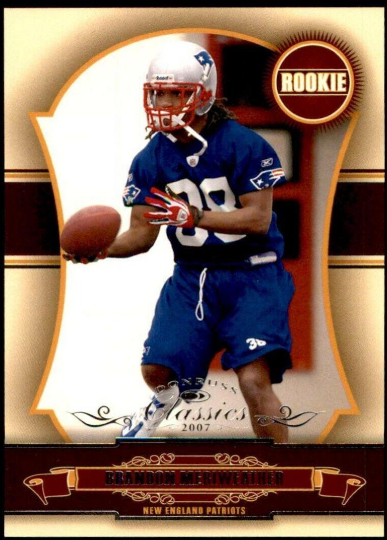Brandon Meriweather #219