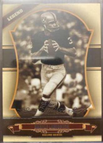 Daryle Lamonica #113