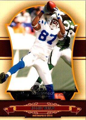 Reggie Wayne #45