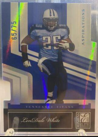 LenDale White [Aspirations] #96