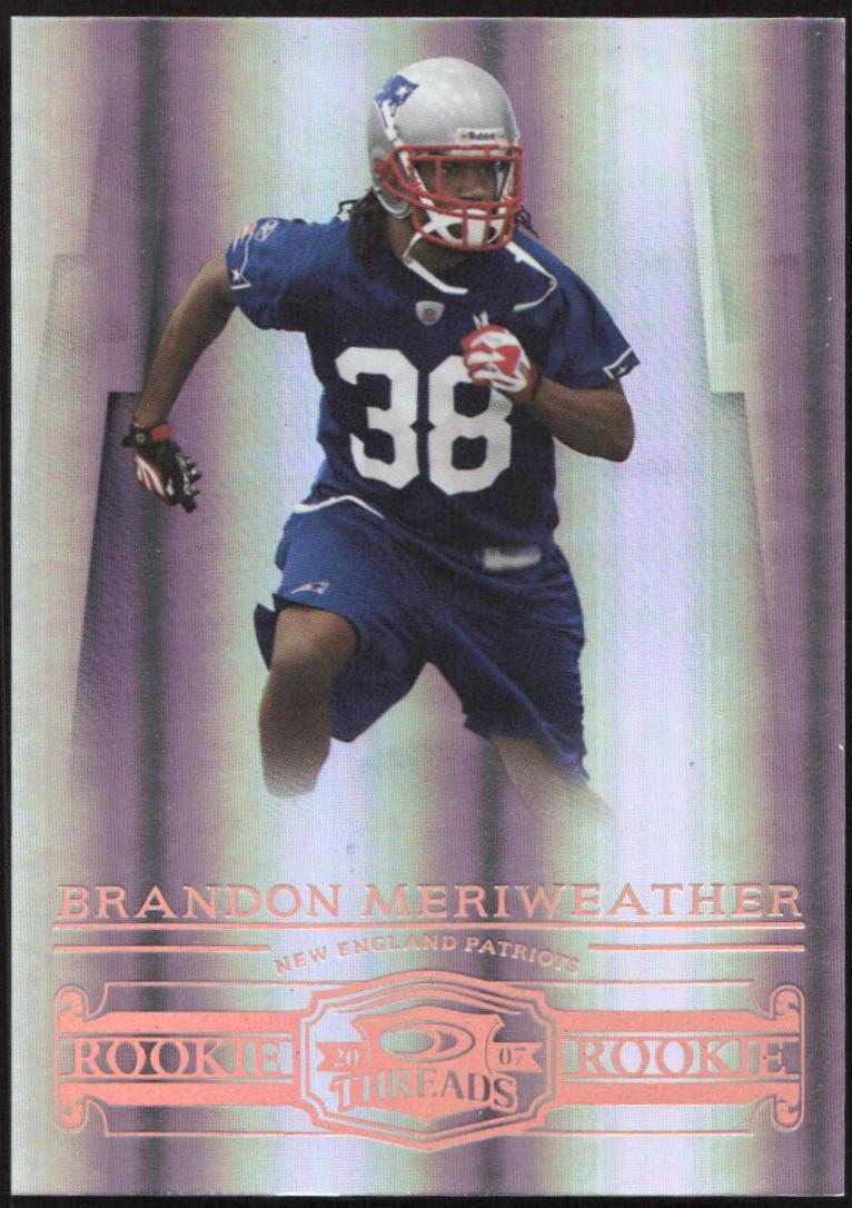 Brandon Meriweather [Bronze Holofoil] #213