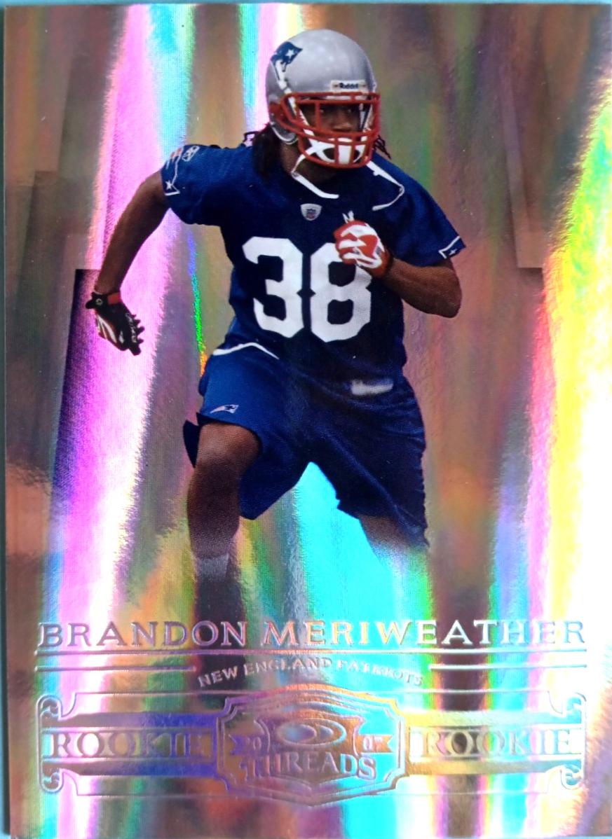 Brandon Meriweather [Silver Holofoil] #213