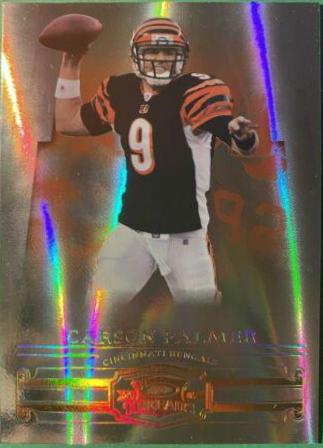 Carson Palmer #71