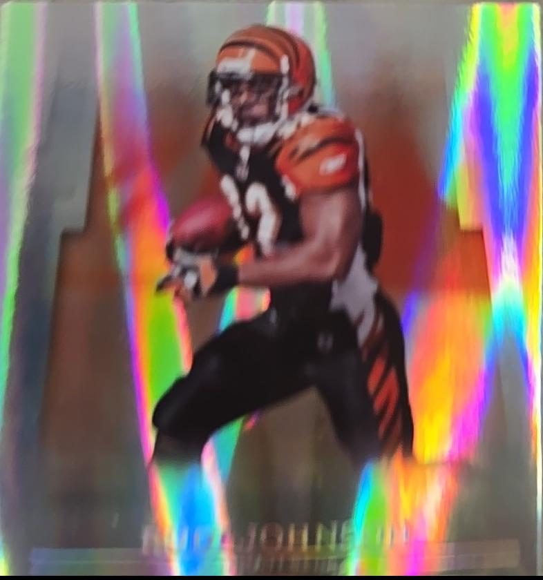 Rudi Johnson [Silver Holofoil] #12