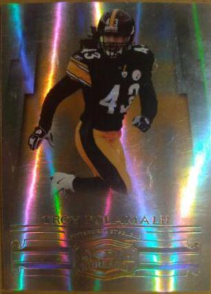 Troy Polamalu #112