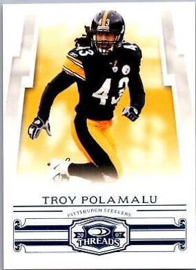 Troy Polamalu [Retail Blue] #112