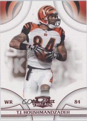 TJ Houshmandzadeh #124