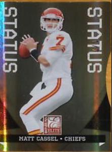Matt Cassel [Status] #50