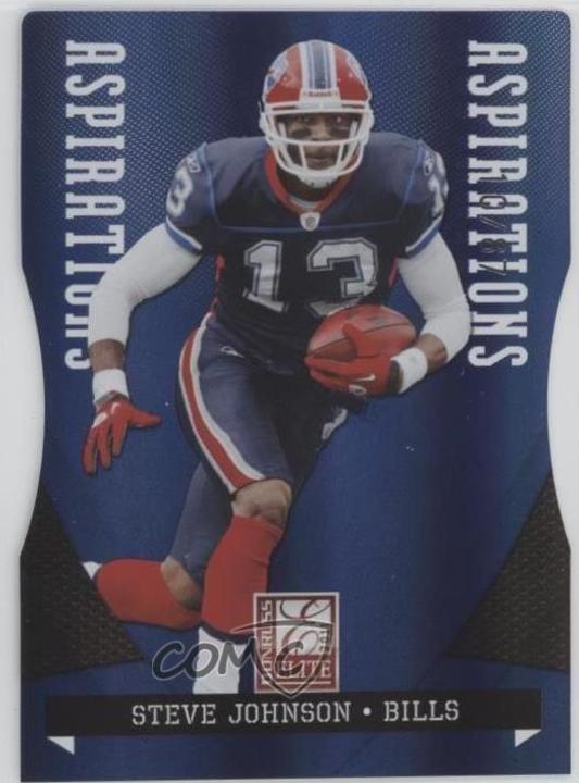 Steve Johnson [Aspirations] #12