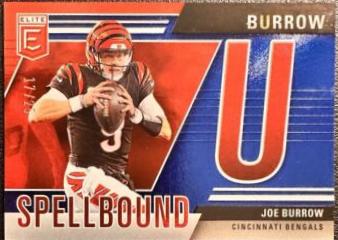 Joe Burrow [Blue] #35