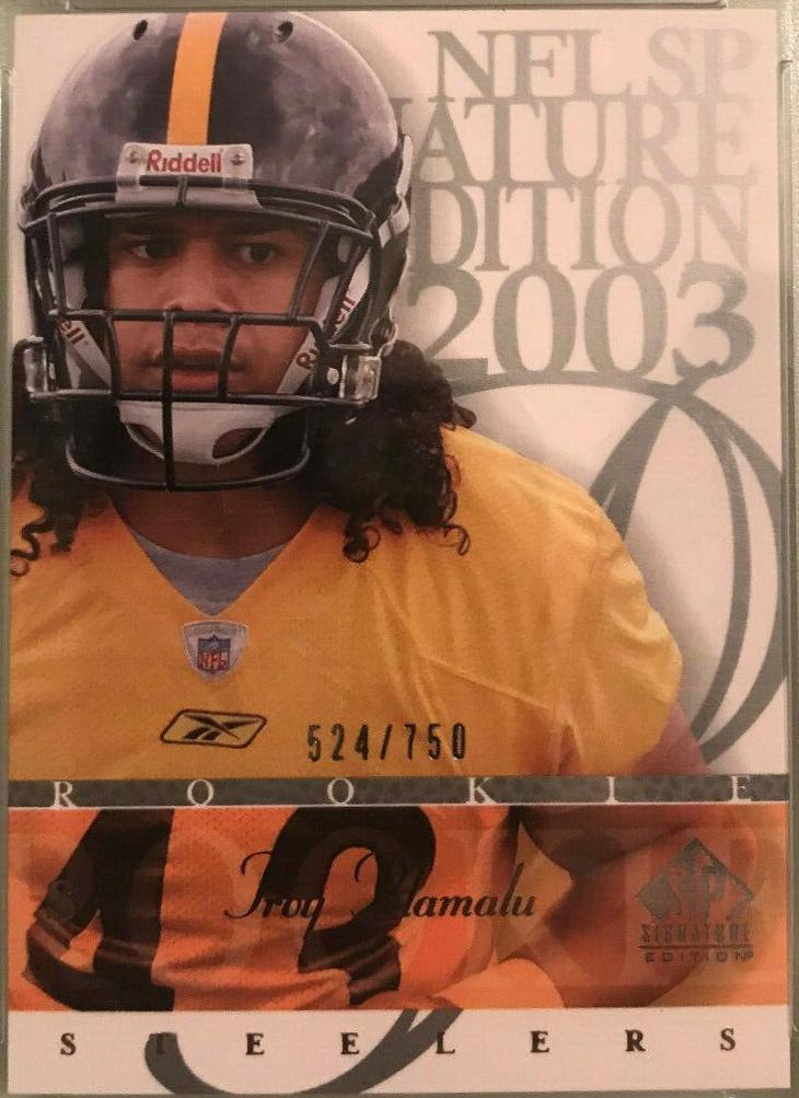 Troy Polamalu #117