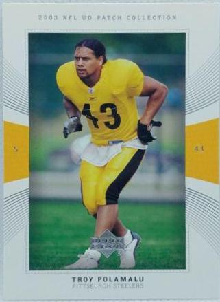 Troy Polamalu #106