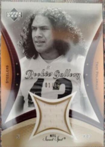 Troy Polamalu [Gold] #208