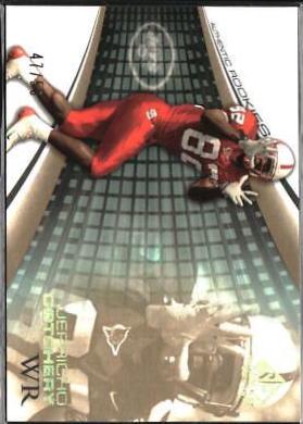 Jerricho Cotchery #125