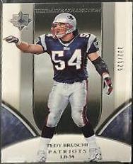 Tedy Bruschi #117