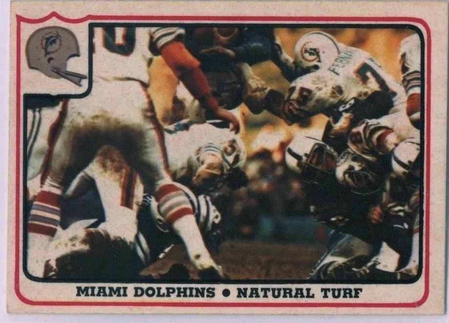 Miami Dolphins [Natural Turf] #16