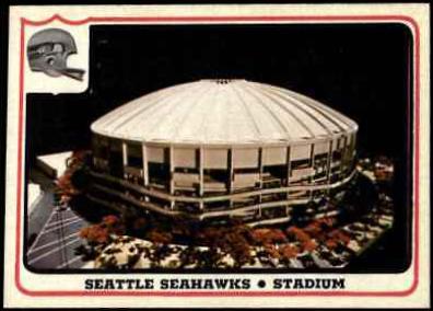 Seattle Seahawks Stadium #53