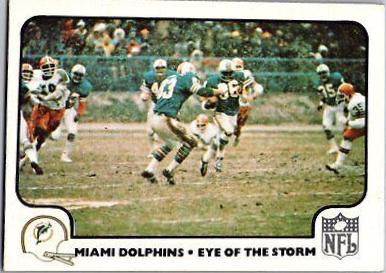 Miami Dolphins Eyes of the Storm #15