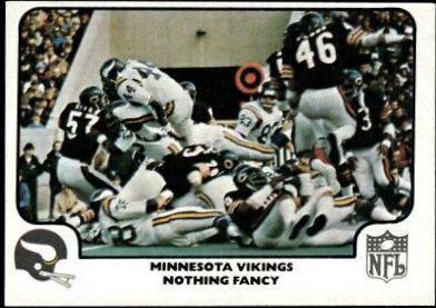 Minnesota Vikings [Nothing Fancy] #41