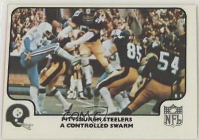 Pittsburgh Steelers [A Controlled Swarm] #24