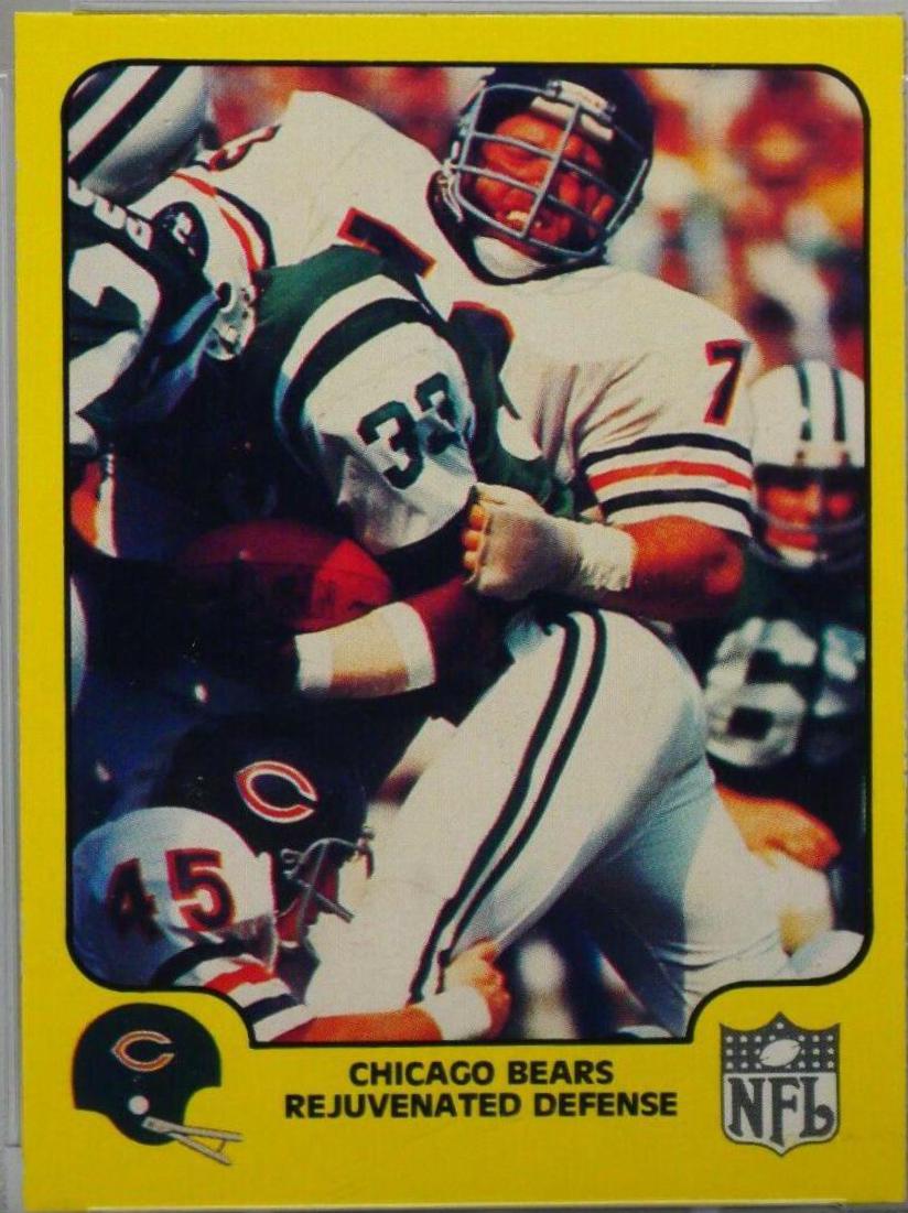 Chicago Bears [Rejuvenated Defense] #8