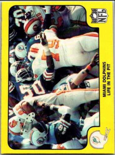 Miami Dolphins [Life in the Pit] #28