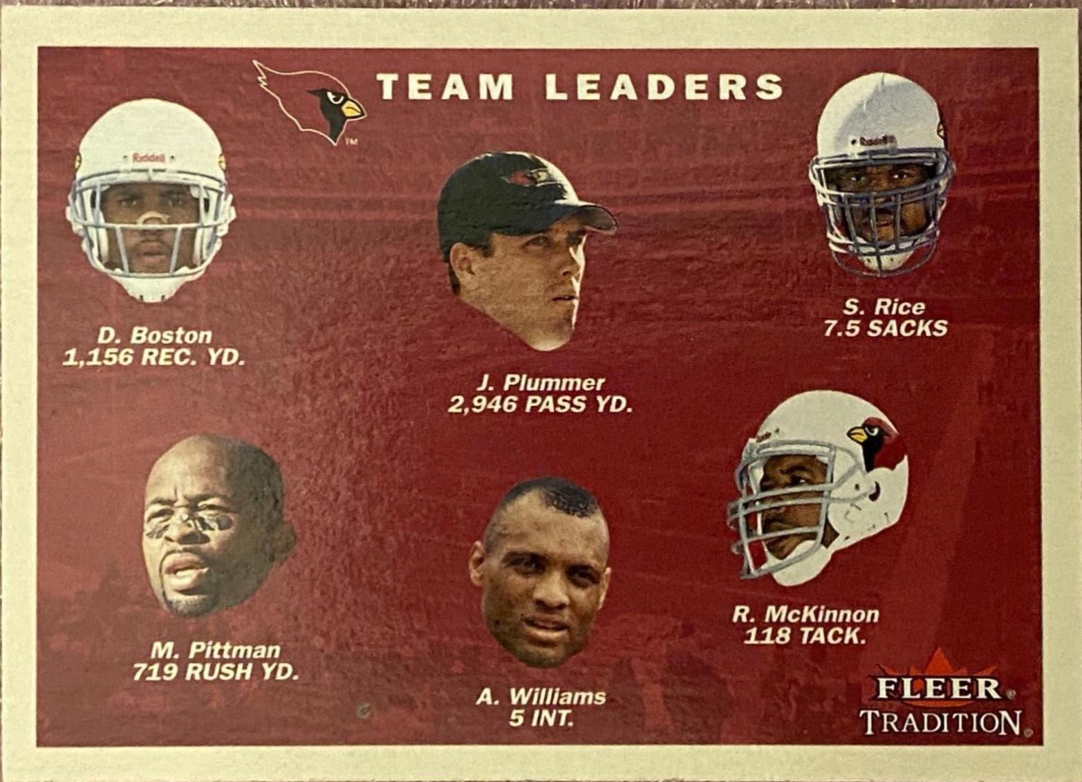 Arizona Cardinals #386