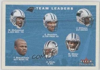 Carolina Panthers #397