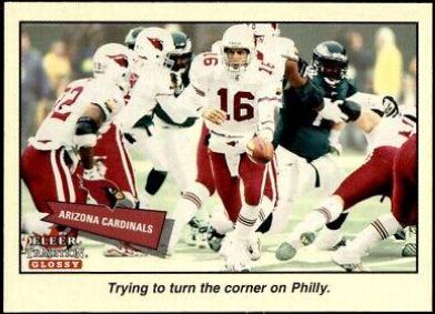 Arizona Cardinals #339