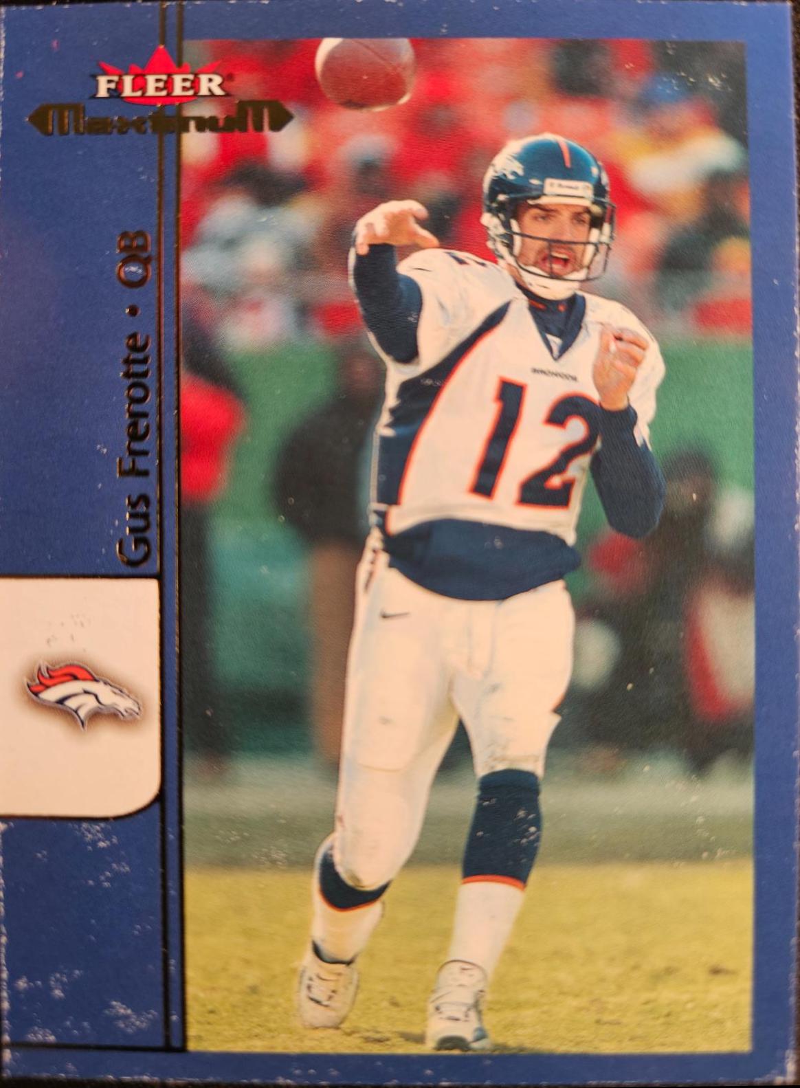 Gus Frerotte #40