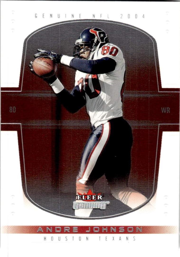 Andre Johnson [Reflections] #17