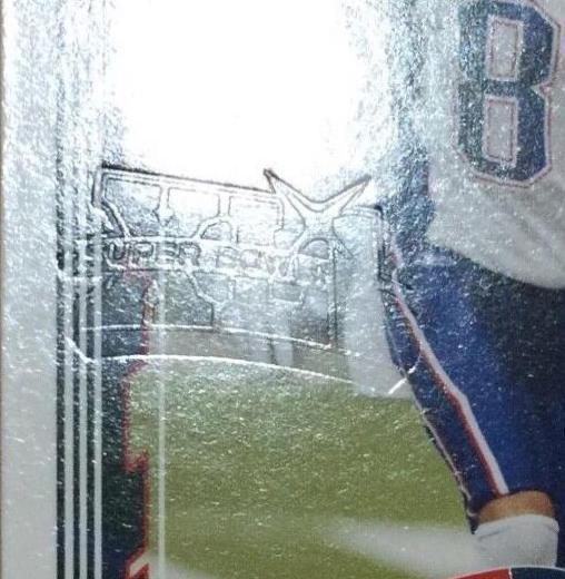 Reche Caldwell [Super Bowl XLI Embossed] #233