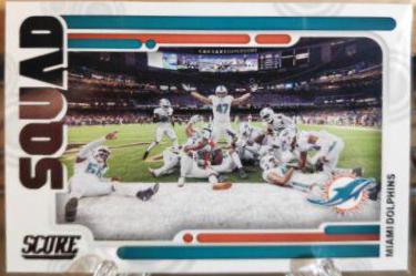 Miami Dolphins #S8
