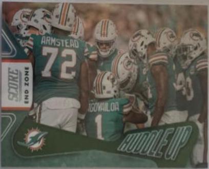 Miami Dolphins [End Zone] #10