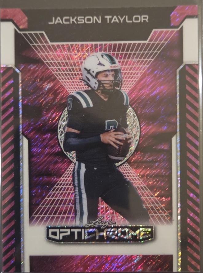 Jackson Taylor [Pink Shimmer] #123