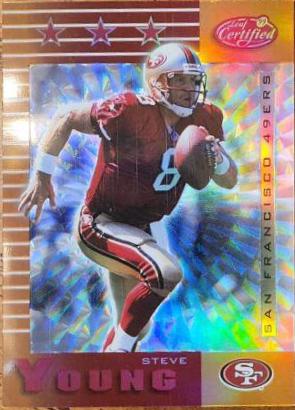 Steve Young [Mirror Gold] #173