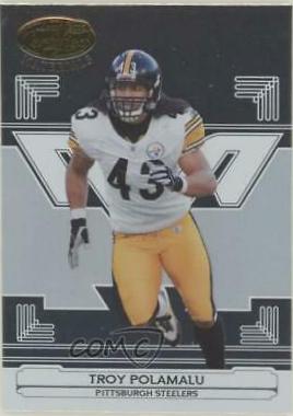 Troy Polamalu #118